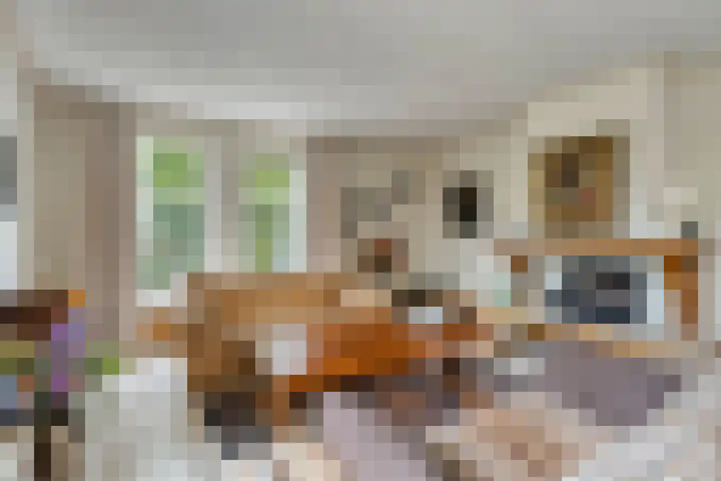 De Lathouwer 9 Moergestel thumbnail 10