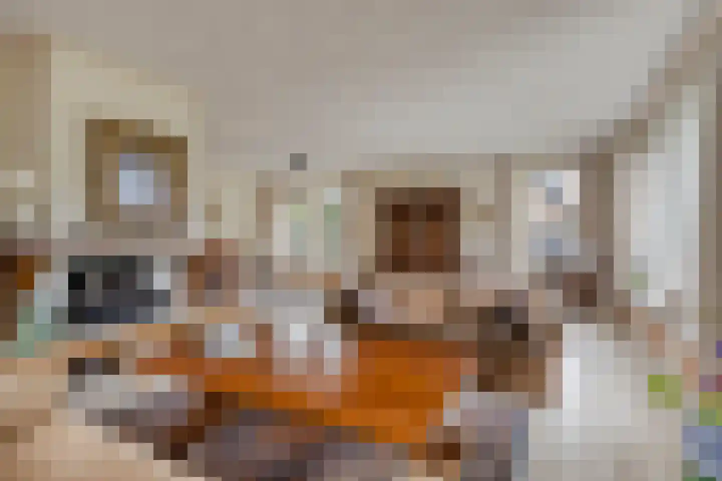 De Lathouwer 9 Moergestel thumbnail 11
