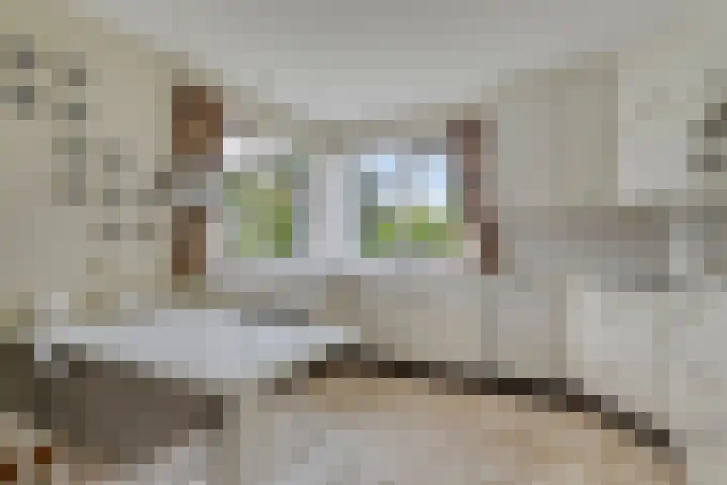 De Lathouwer 9 Moergestel thumbnail 13