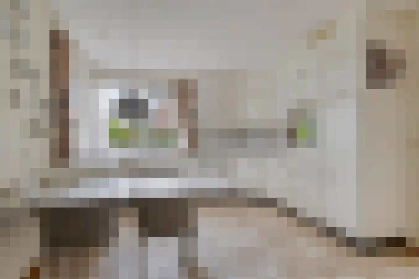 De Lathouwer 9 Moergestel thumbnail 14