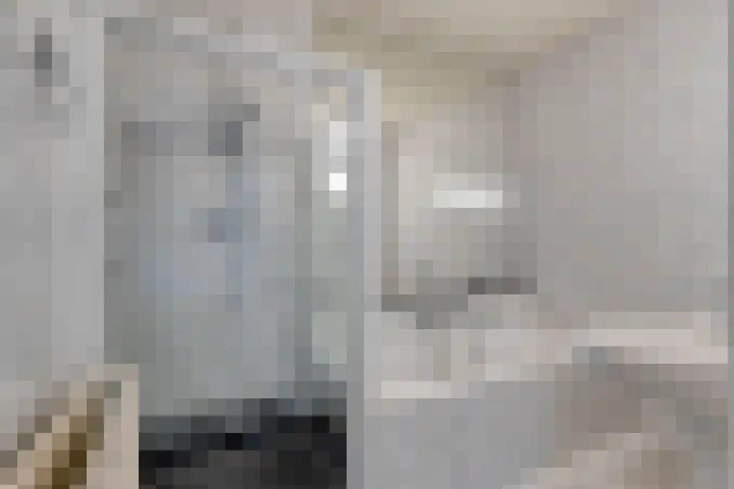 De Lathouwer 9 Moergestel thumbnail 19