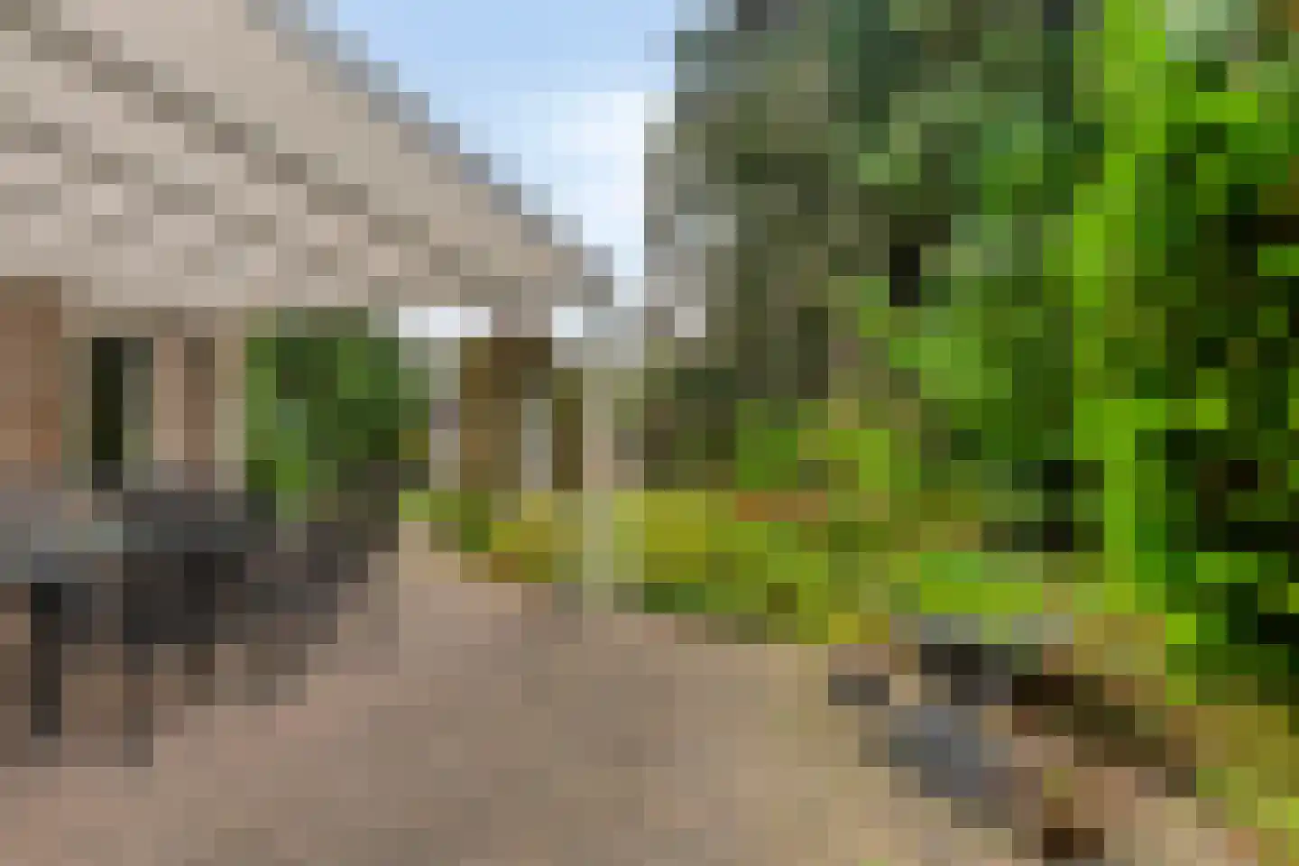 De Lathouwer 9 Moergestel thumbnail 30