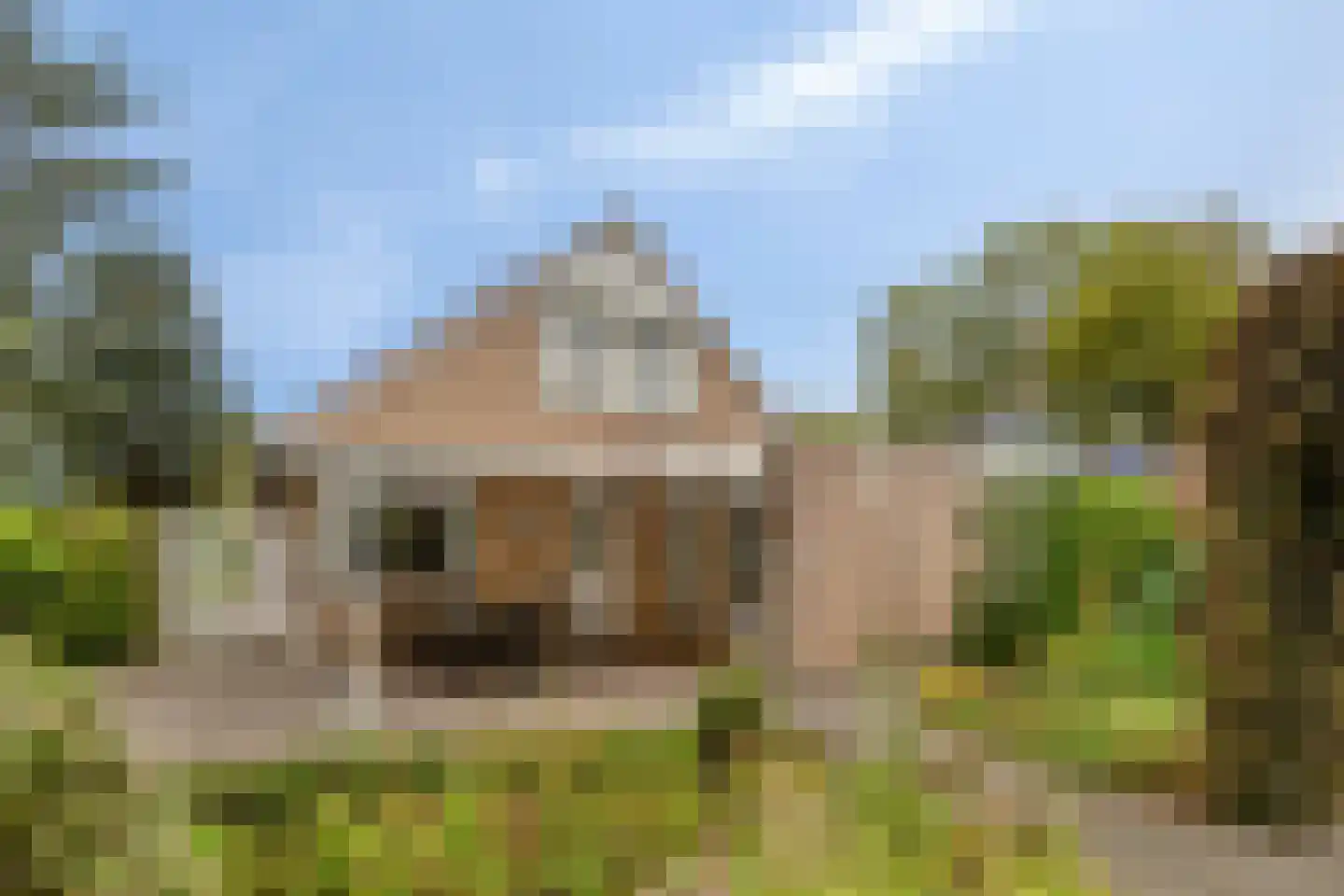 De Lathouwer 9 Moergestel thumbnail 31