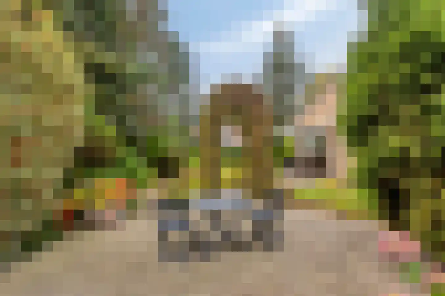 De Lathouwer 9 Moergestel thumbnail 34