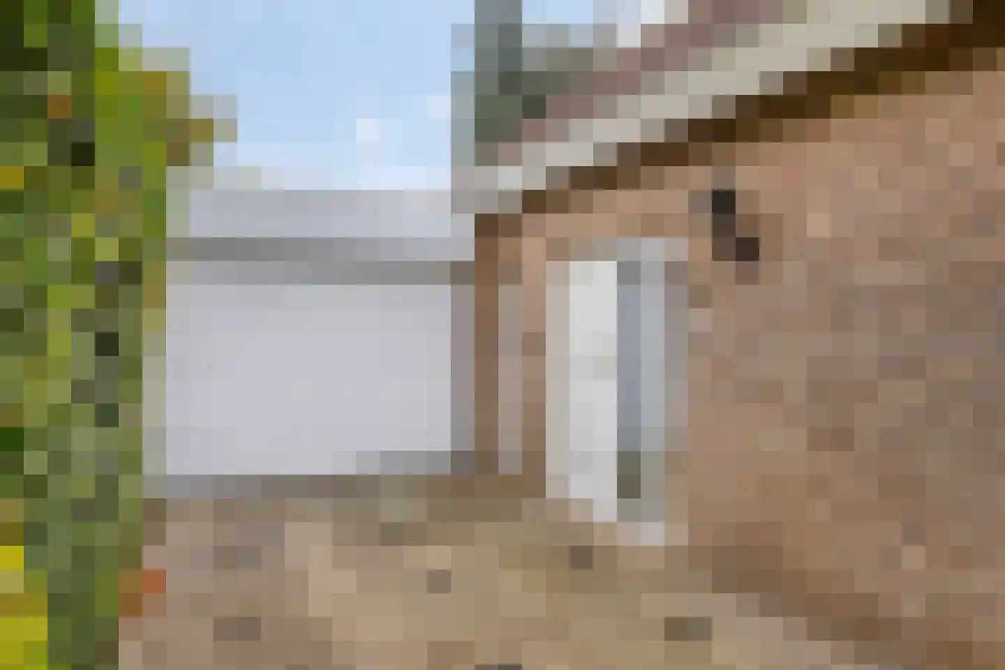 De Lathouwer 9 Moergestel thumbnail 4