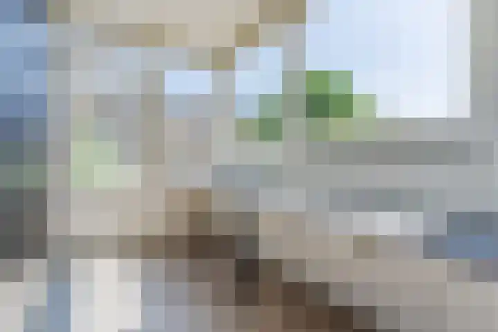 de Lathyrus 10 Valkenswaard thumbnail 13