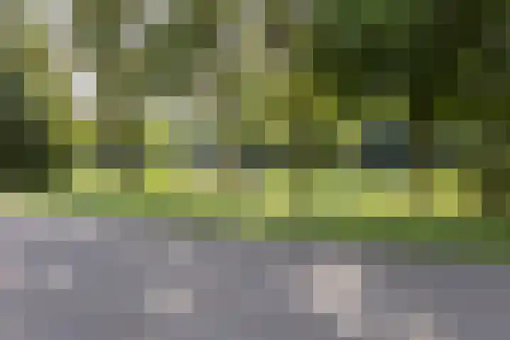 de Lathyrus 10 Valkenswaard thumbnail 17