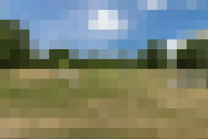 de Lathyrus 10 Valkenswaard thumbnail 18