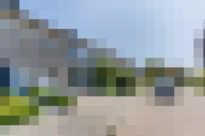 de Lathyrus 10 Valkenswaard thumbnail 19