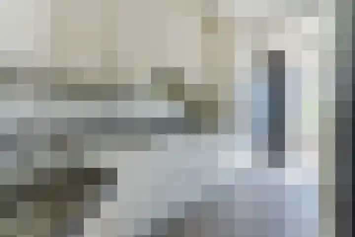 de Lathyrus 10 Valkenswaard foto 3