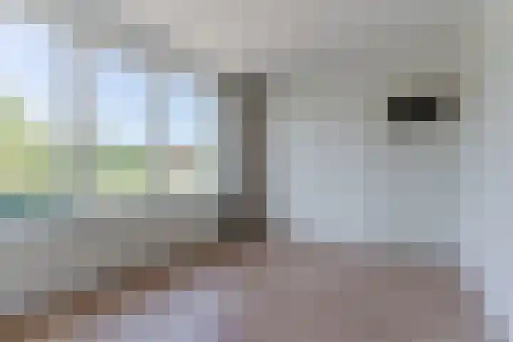 de Lathyrus 10 Valkenswaard thumbnail 4