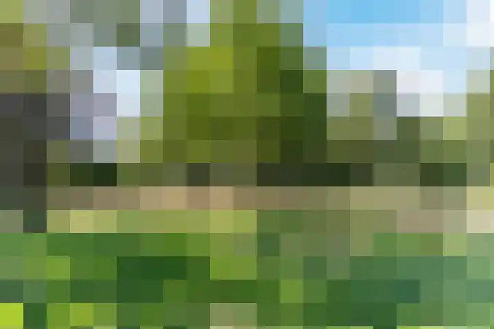 de Lathyrus 10 Valkenswaard thumbnail 44