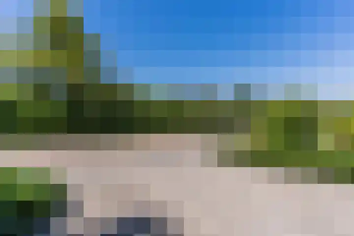 de Lathyrus 10 Valkenswaard thumbnail 6