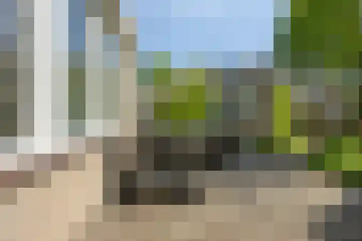 de Lathyrus 22 Valkenswaard thumbnail 18
