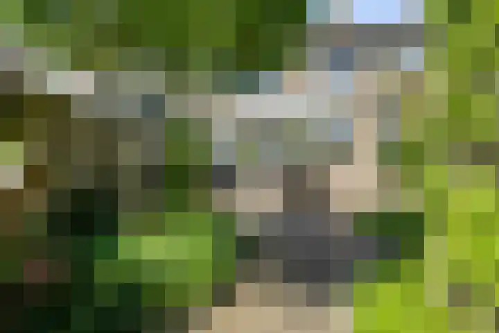de Lathyrus 22 Valkenswaard thumbnail 19