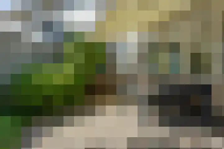 de Lathyrus 22 Valkenswaard thumbnail 20