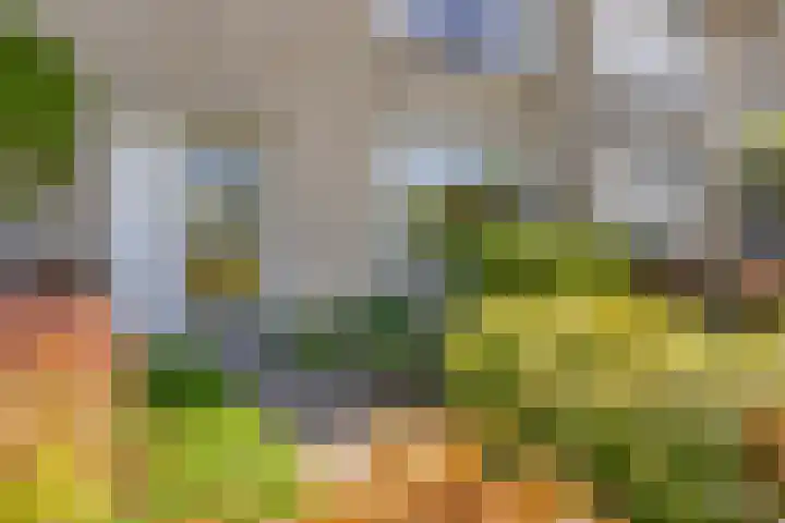 de Lathyrus 22 Valkenswaard thumbnail 21