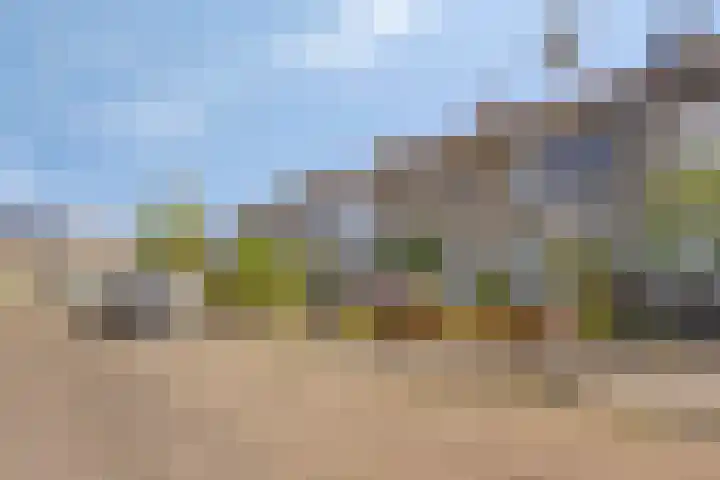 de Lathyrus 22 Valkenswaard thumbnail 22