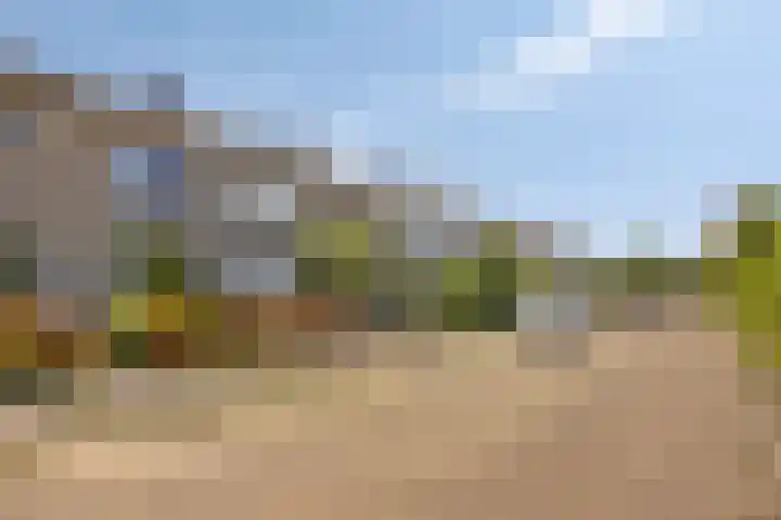 de Lathyrus 22 Valkenswaard thumbnail 23