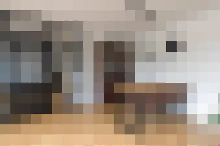 de Latpad 10 Eindhoven thumbnail 16