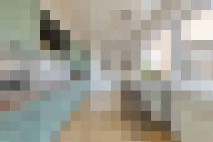 de Latpad 10 Eindhoven thumbnail 18