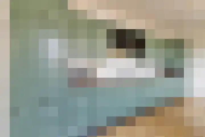 de Latpad 10 Eindhoven thumbnail 19