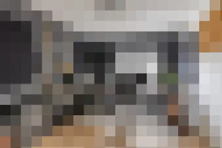 de Latpad 10 Eindhoven thumbnail 27