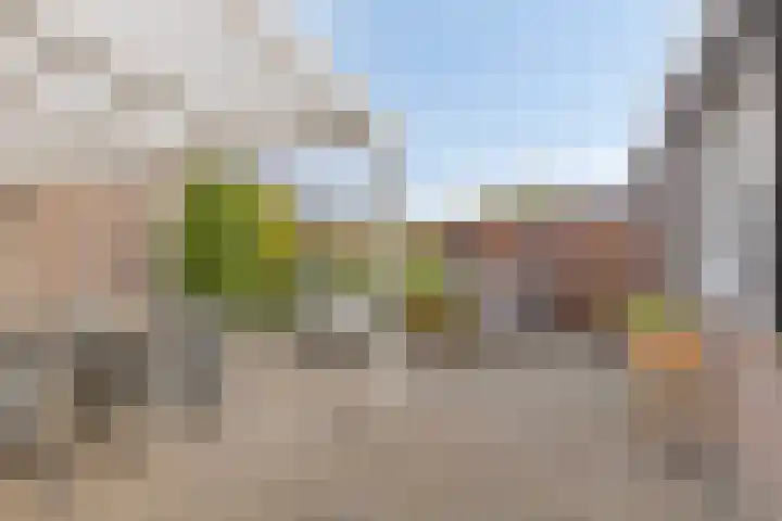 de Latpad 10 Eindhoven thumbnail 28