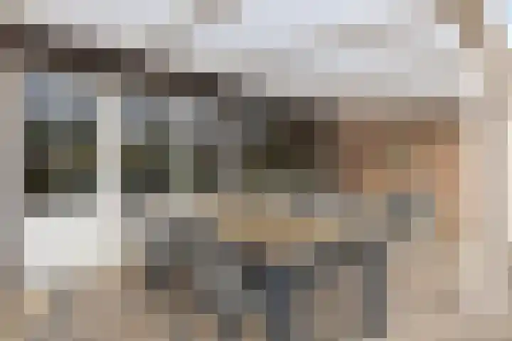 de Latpad 10 Eindhoven thumbnail 29