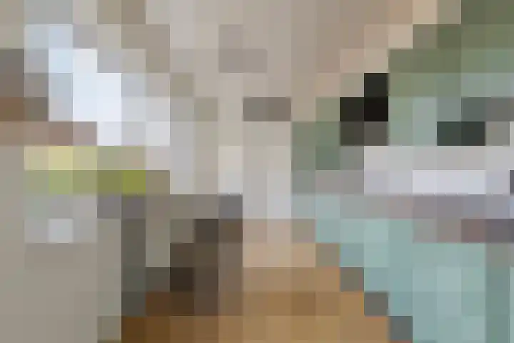 de Latpad 10 Eindhoven thumbnail 4