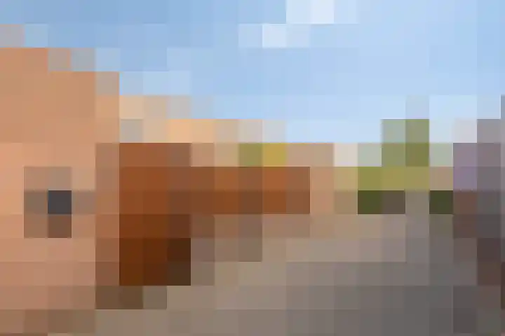 de Latpad 10 Eindhoven thumbnail 8