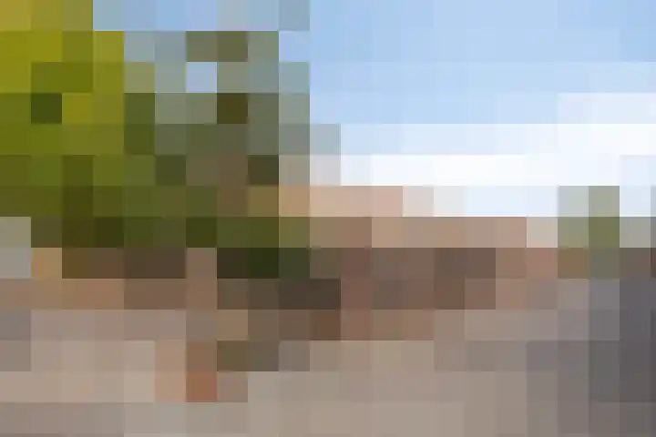 de Latpad 10 Eindhoven thumbnail 9