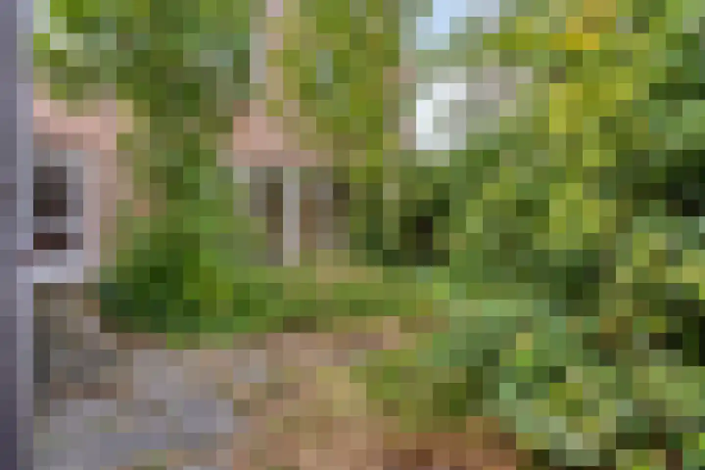 de Latpad 2 Eindhoven thumbnail 24