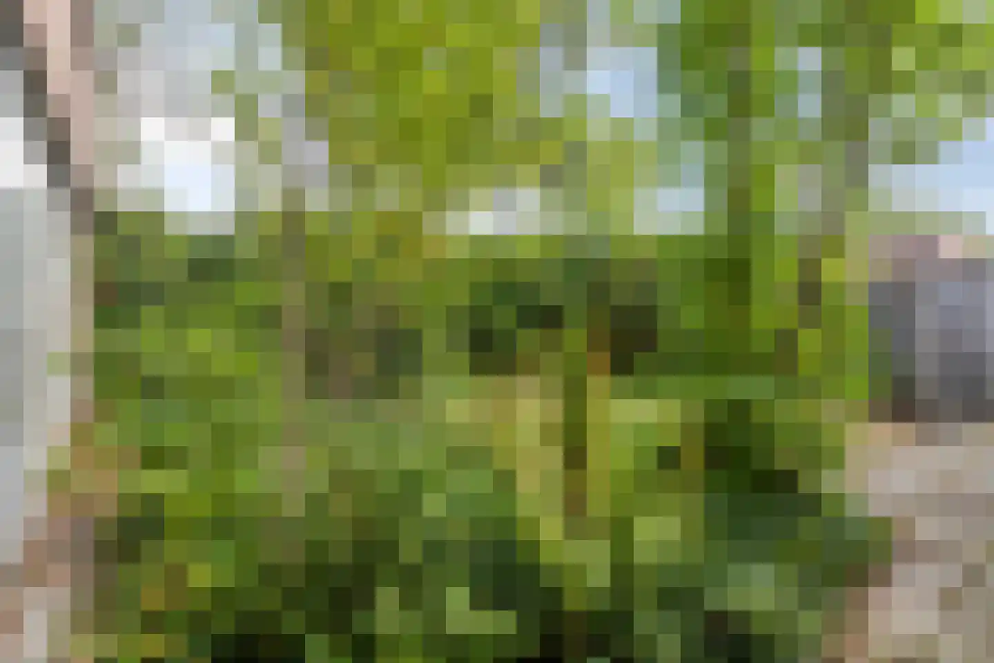 de Latpad 2 Eindhoven thumbnail 25