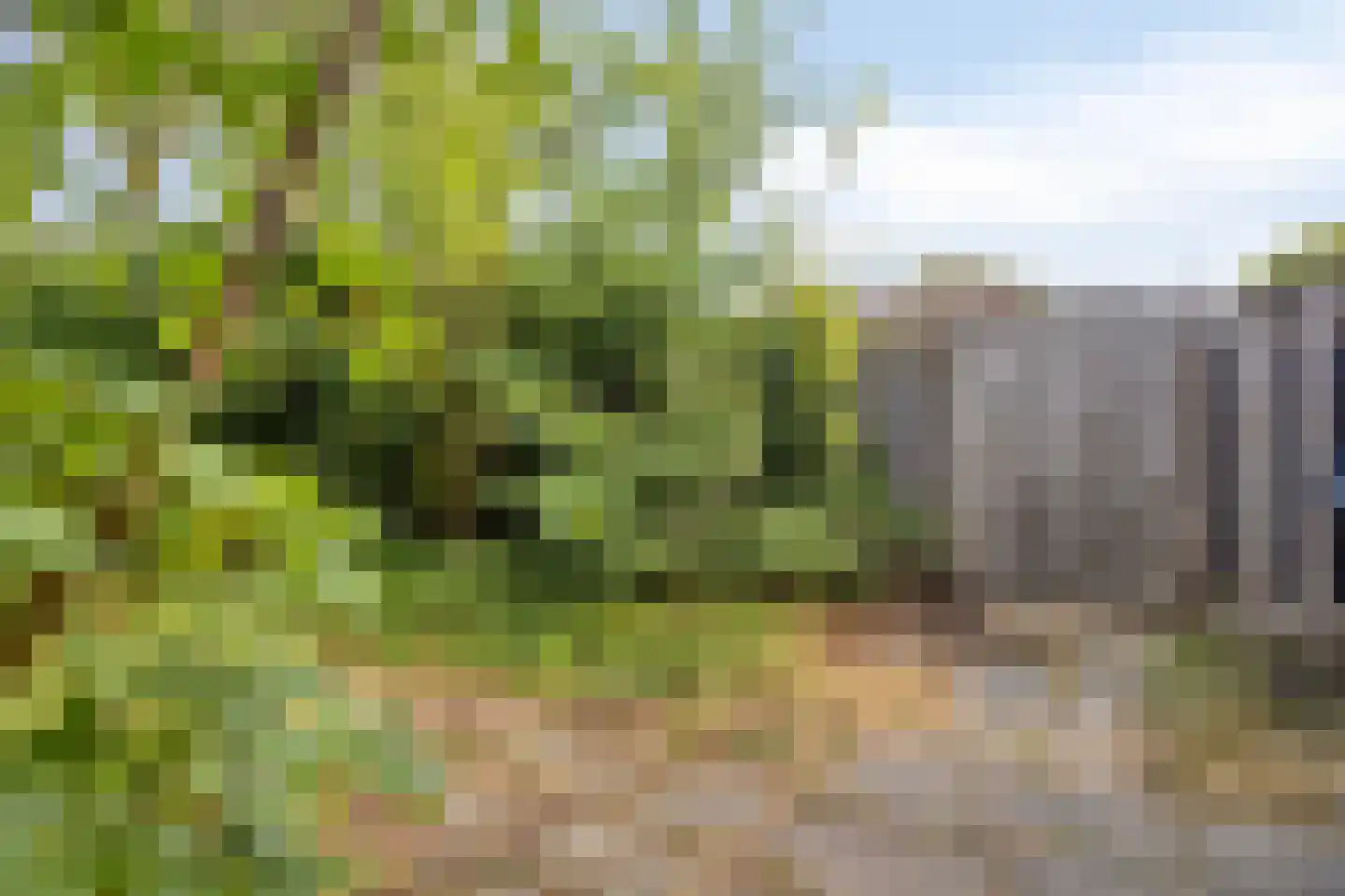 de Latpad 2 Eindhoven thumbnail 26