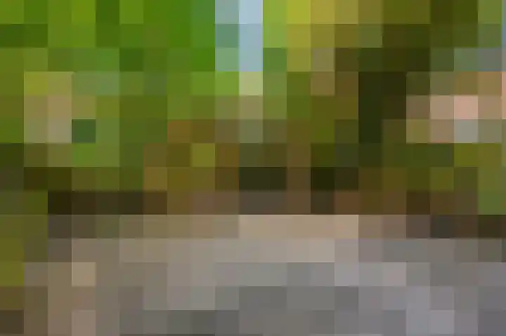 de Latpad 4 Eindhoven