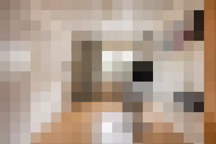 de Latpad 4 Eindhoven thumbnail 31