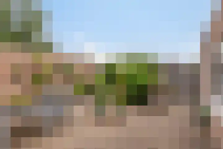 de Latpad 4 Eindhoven thumbnail 6
