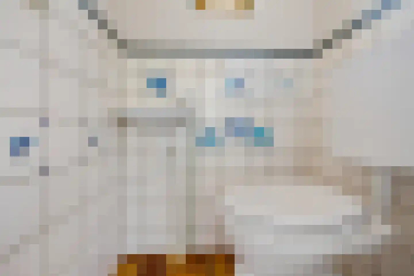 De Lauden 20 Klazienaveen thumbnail 10