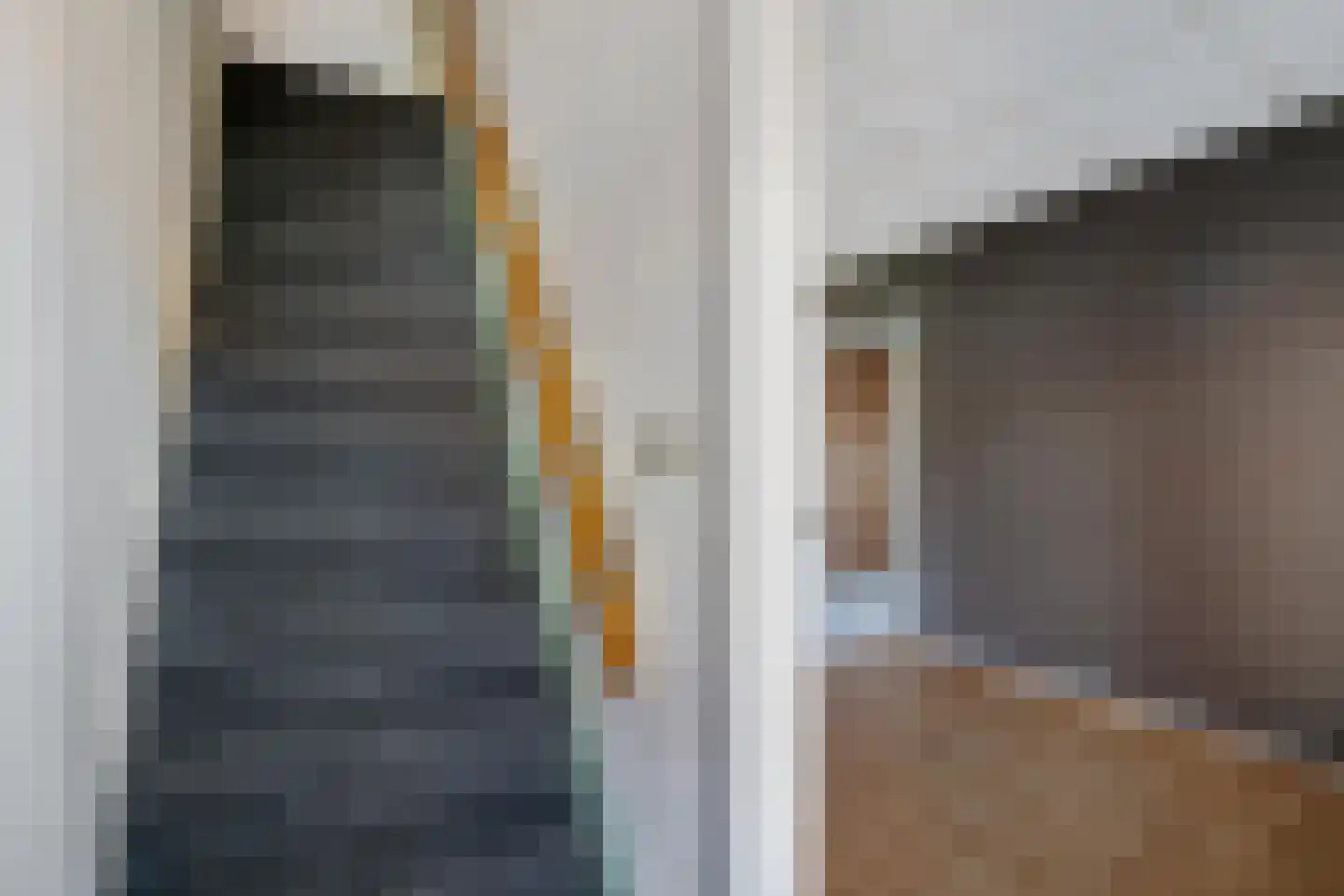 De Lauden 20 Klazienaveen thumbnail 11