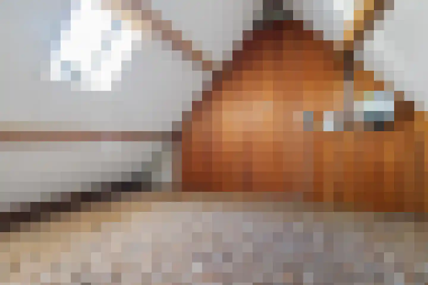 De Lauden 20 Klazienaveen thumbnail 15
