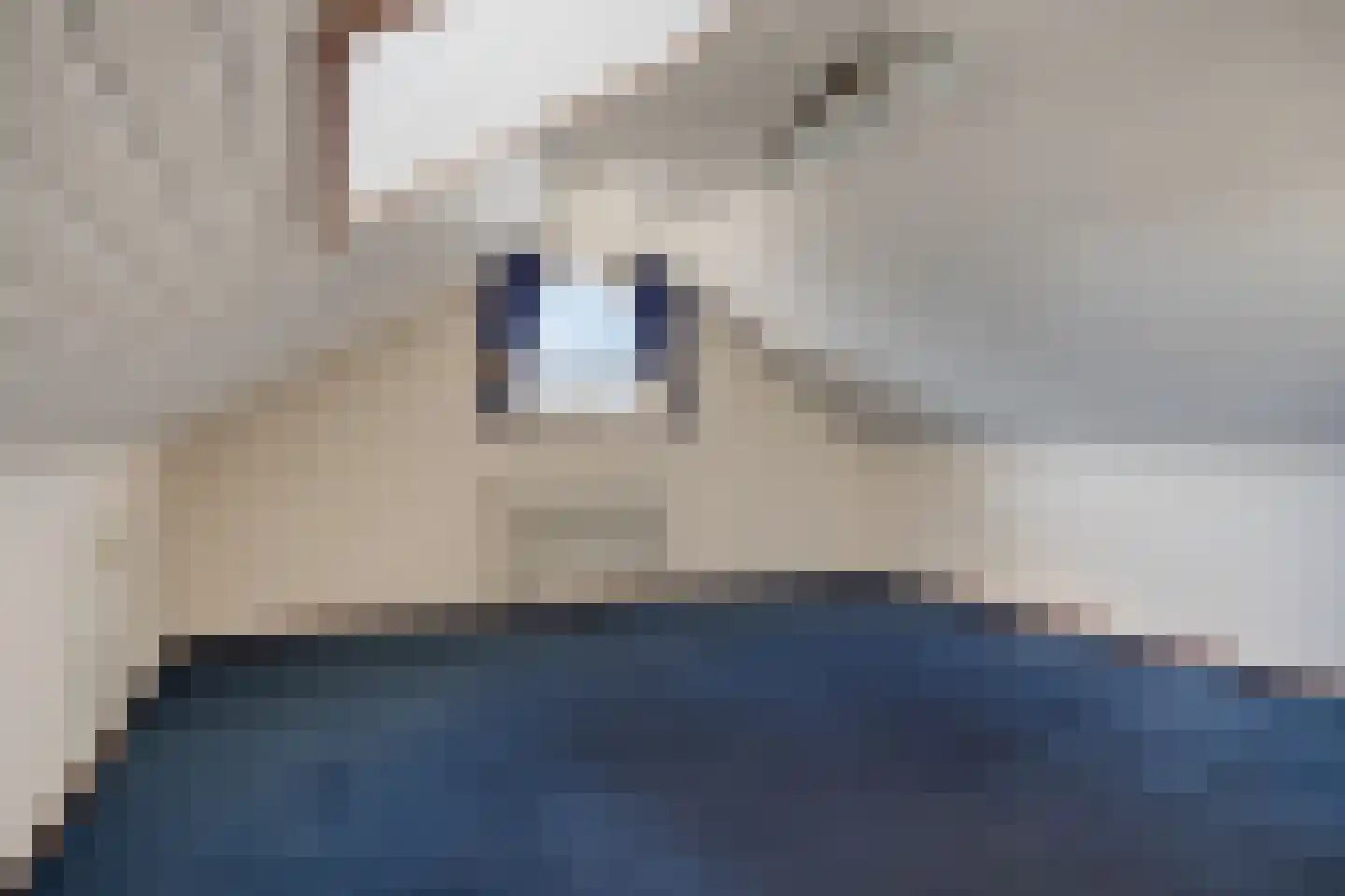 De Lauden 5 Klazienaveen thumbnail 26