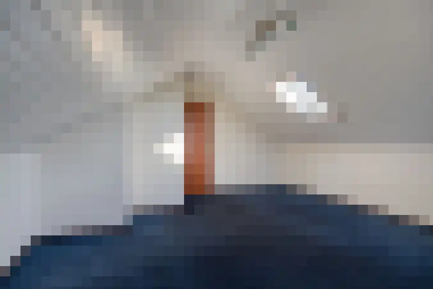 De Lauden 5 Klazienaveen thumbnail 27