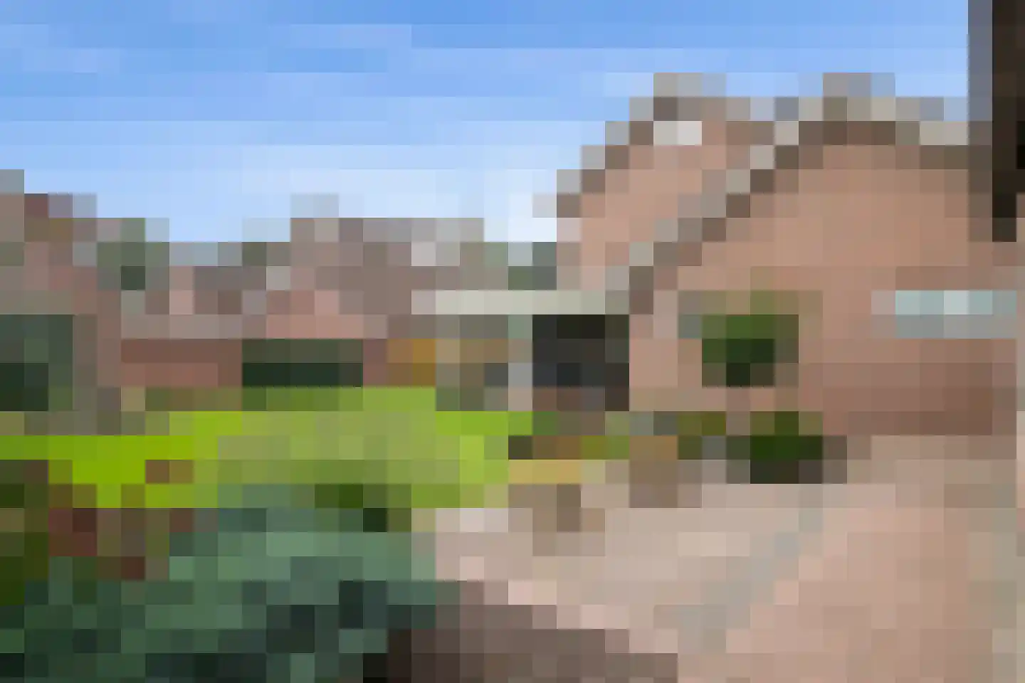 De Lauden 5 Klazienaveen thumbnail 32