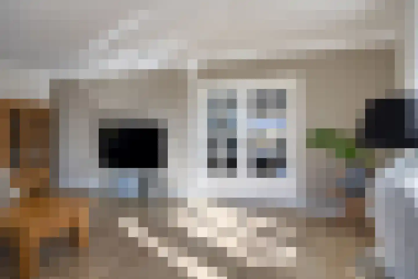 De Lauden 5 Klazienaveen thumbnail 4