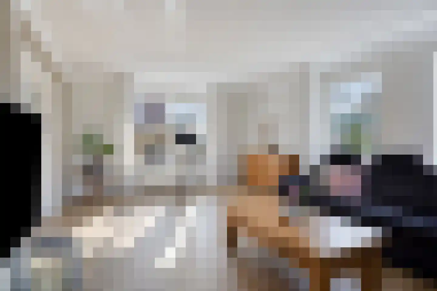 De Lauden 5 Klazienaveen thumbnail 5