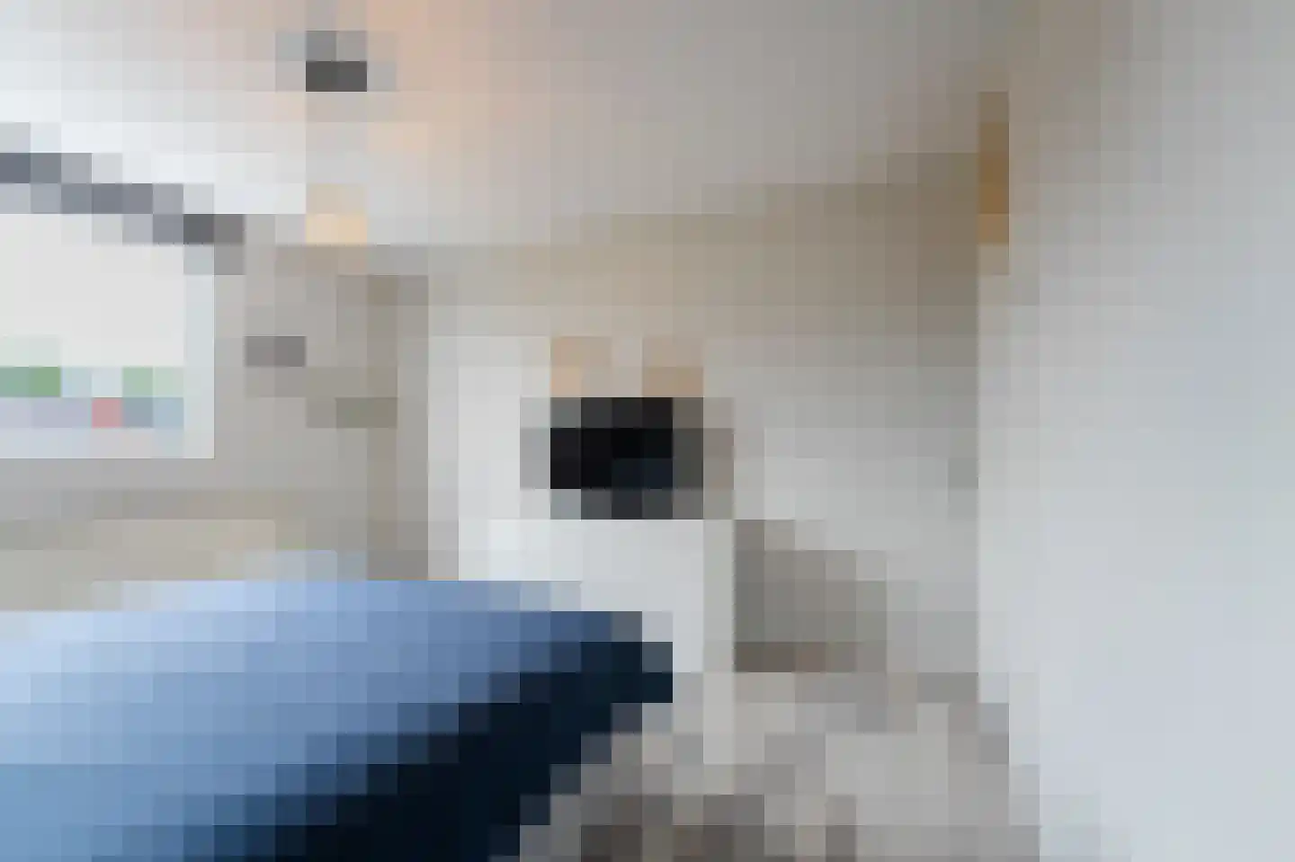 de Lauwers 17 Emmeloord thumbnail 32