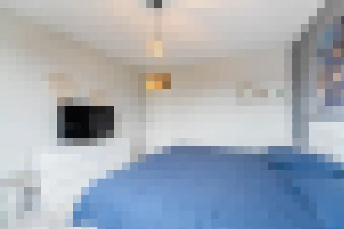 de Lauwers 17 Emmeloord thumbnail 33