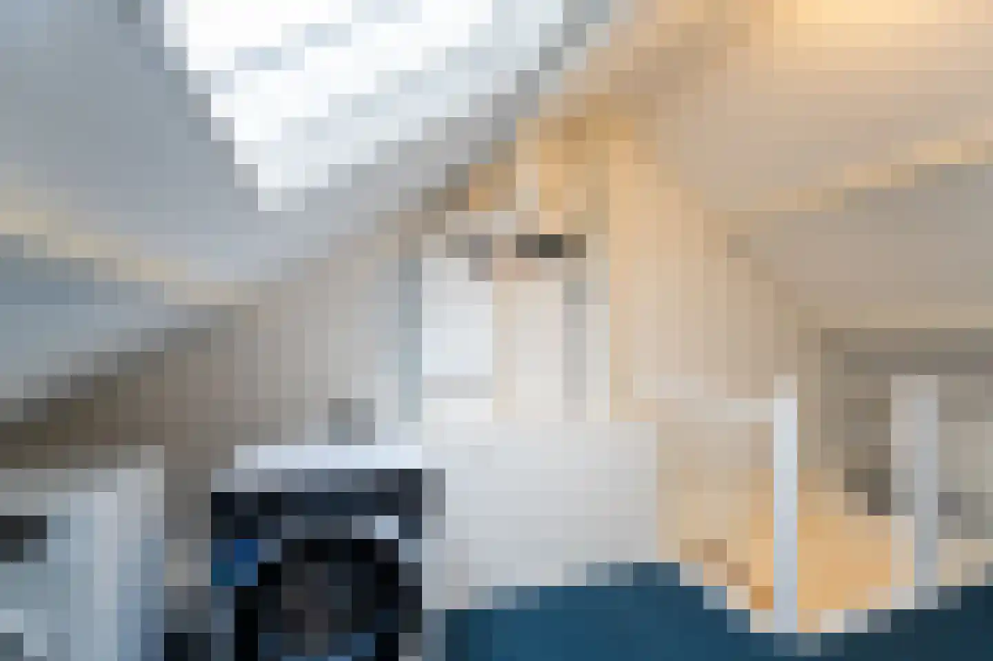 de Lauwers 17 Emmeloord thumbnail 41