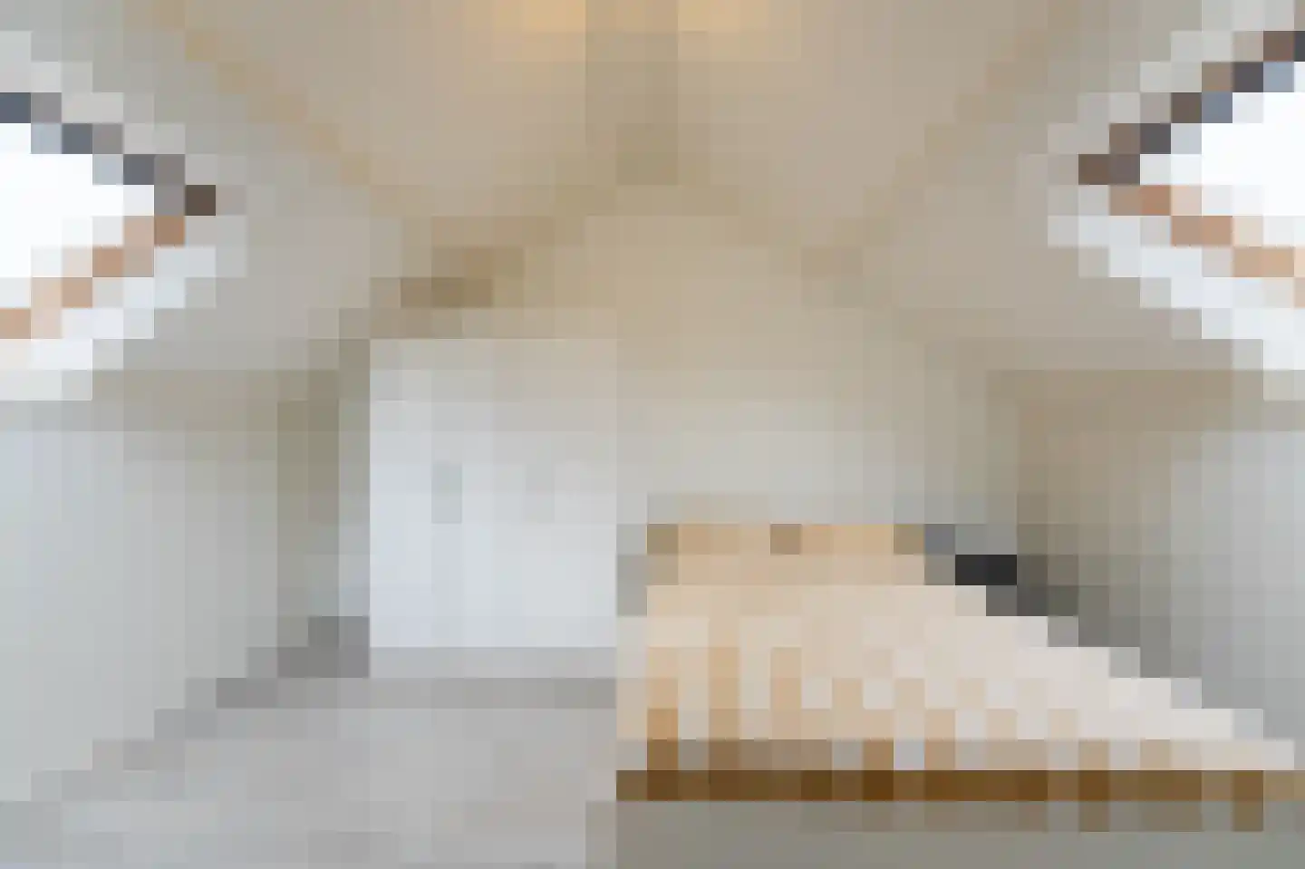 de Lauwers 17 Emmeloord thumbnail 42
